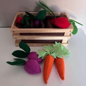 Pottery Barn Kids Soft Veggie Garden Set Pretend Play Fruit Vegetable Retired
